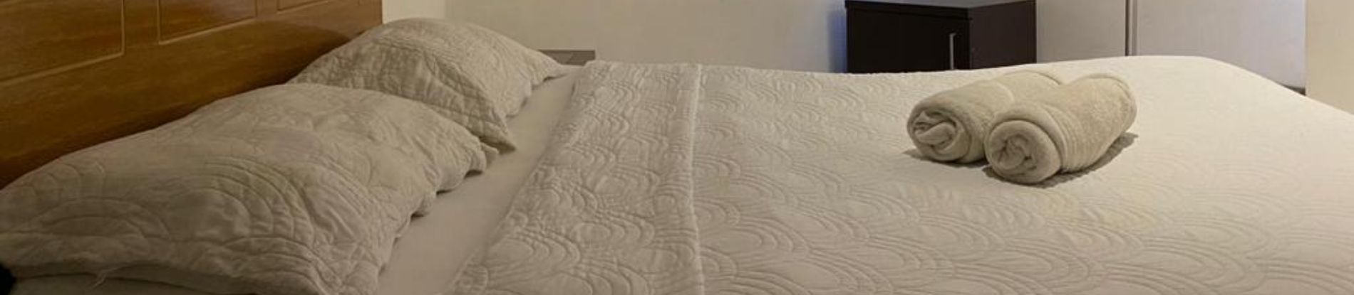 Tremo Santiago Suite Apartment  galeria